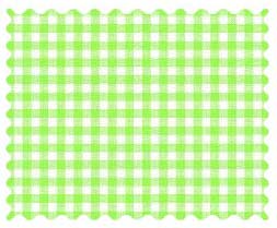 Fabric Shop - Primary Green Gingham Woven Fabric - Yard
