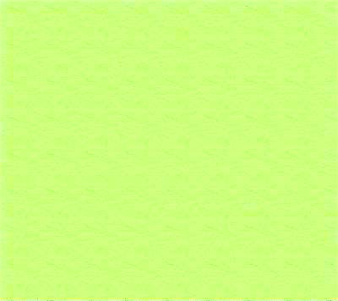 FS18 Fabric Shop - Flannel - Lime Fabric - Yard sku FS18