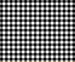 Primary Black Gingham Woven