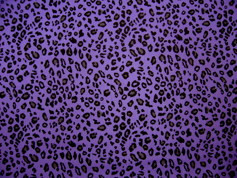 purple leopard print pants