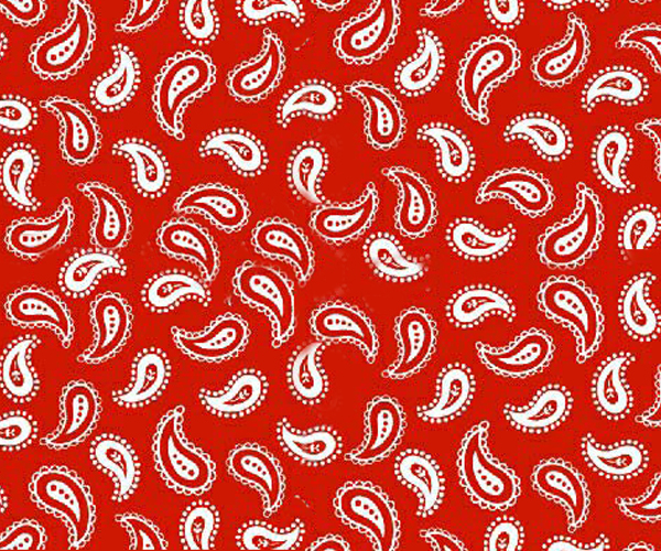 Primary Paisley White On Red Woven