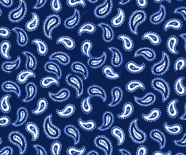 Primary Paisley White On Navy Woven