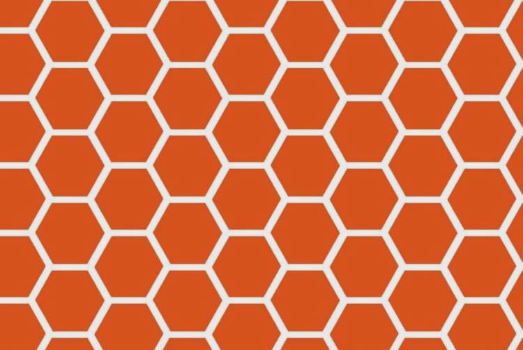 Crib / Toddler - Burnt Orange Honeycomb - Baby Pillow Case