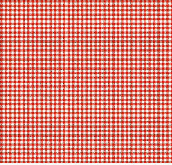 Primary Red Gingham Woven