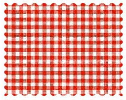 Fabric Shop - Primary Red Gingham Woven Fabric - Yard