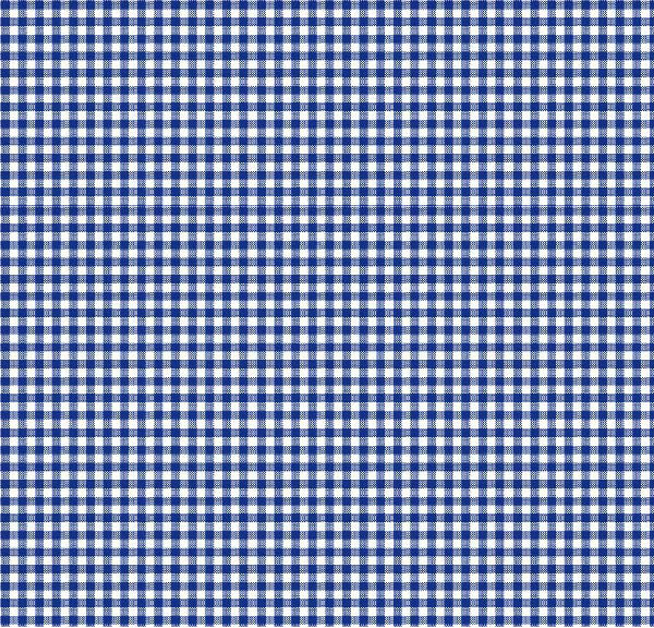 Primary Navy Gingham Woven