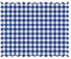 Fabric Shop - Primary Navy Gingham Woven Fabric - Yard