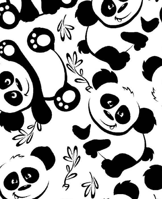 Panda Bear