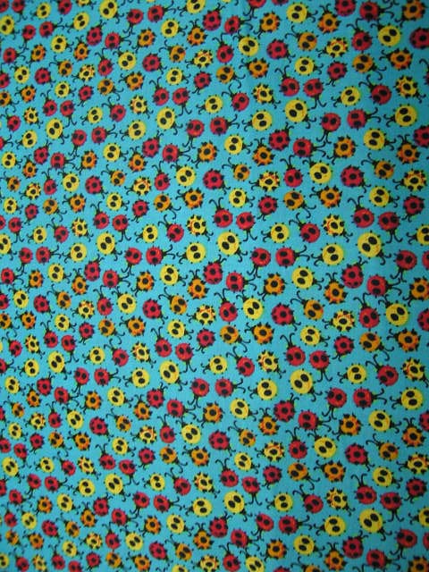 Tiny Ladybugs
