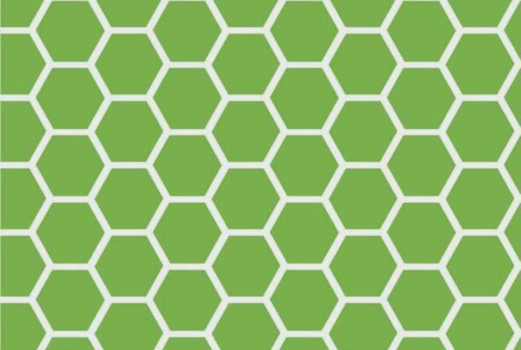 Crib / Toddler - Citrus Honeycomb - Baby Pillow Case