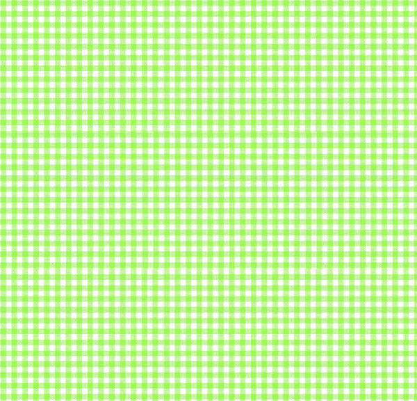 Primary Green Gingham Woven