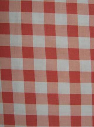 Salmon Large Gingham Check - Woven