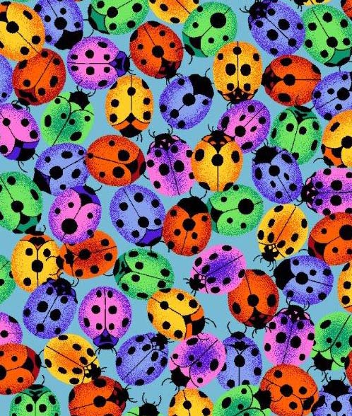 Large Ladybugs