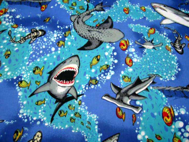 Sea Life