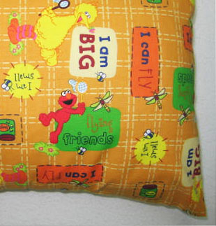 Sesame Street Orange