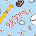 Baseball Fun