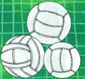 Volleyball On Green Woven