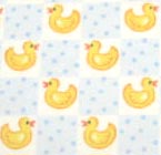 Flannel - Blue Duckies Check