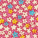 Colorful Flower Garden