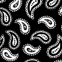 Primary Paisley White On Black Woven