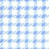 Flannel - Blue Check