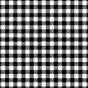 Primary Black Gingham Woven