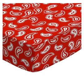 Primary Paisley White On Red Woven