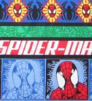 Panoramic Spiderman