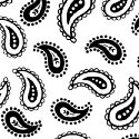 Primary Paisley Black On White Woven