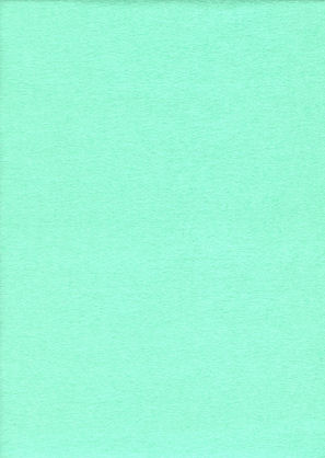 Flannel - Mint