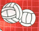 Volleyball On Red Woven