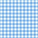 Primary Blue Gingham Woven