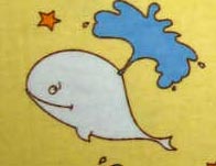 Whale Watching