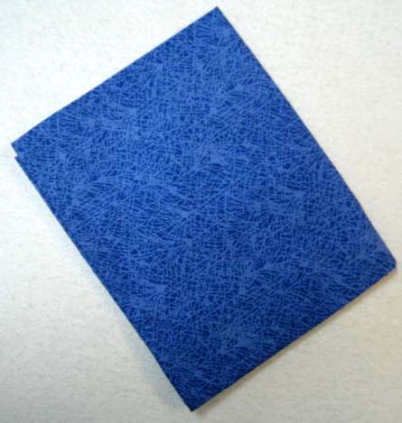 Blue Webbing Cotton Baby Pillow Case