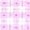Flannel - Pink Check Dots