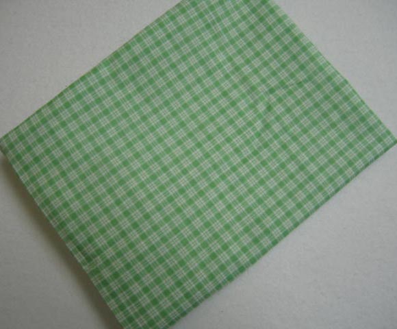 Green Plaid Baby Pillow Case (920)