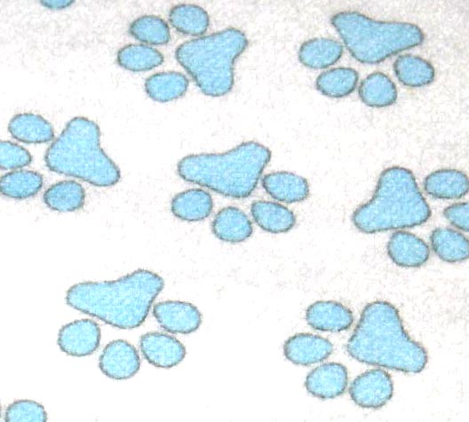 Flannel220623 - Blue Paws