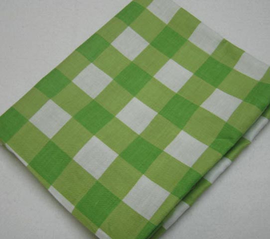 Green Large Gingham Check Baby Pillow Case (933)