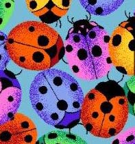 Large Ladybugs
